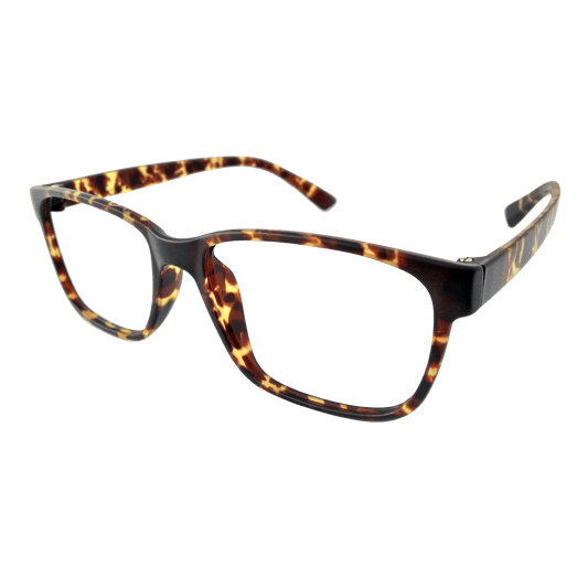 Tortoise bold eyeglass frame 