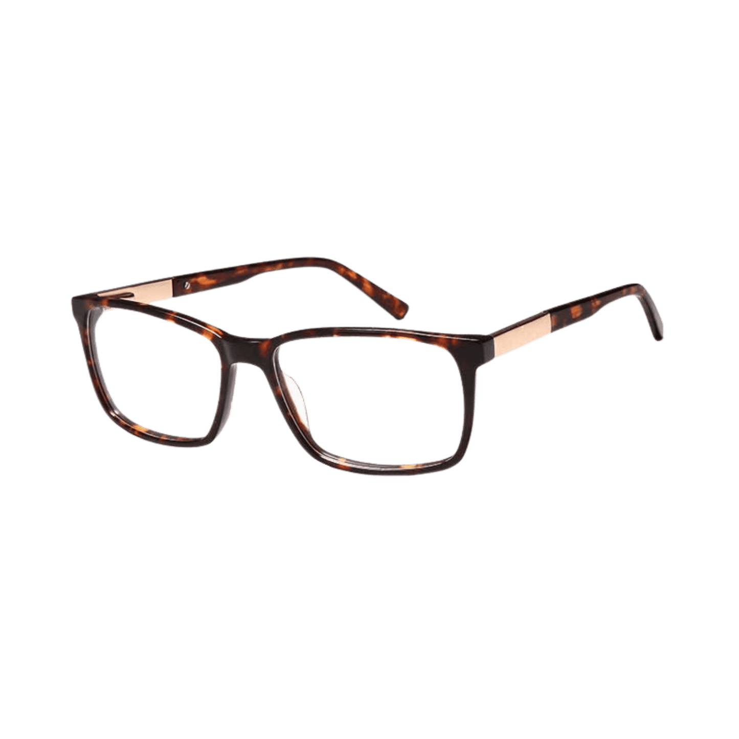 Big bold tort frame