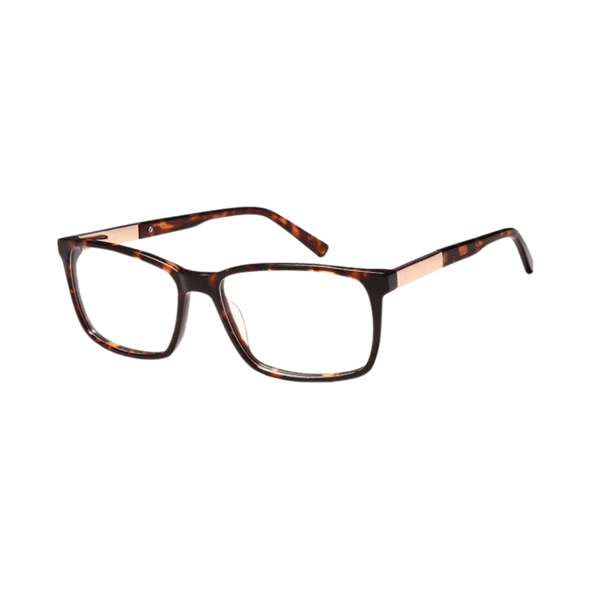 Big bold tort frame