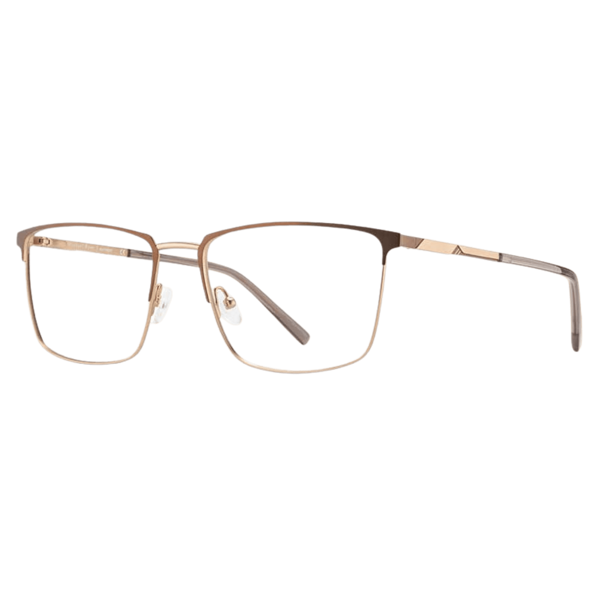 Large modern brown gold frame 