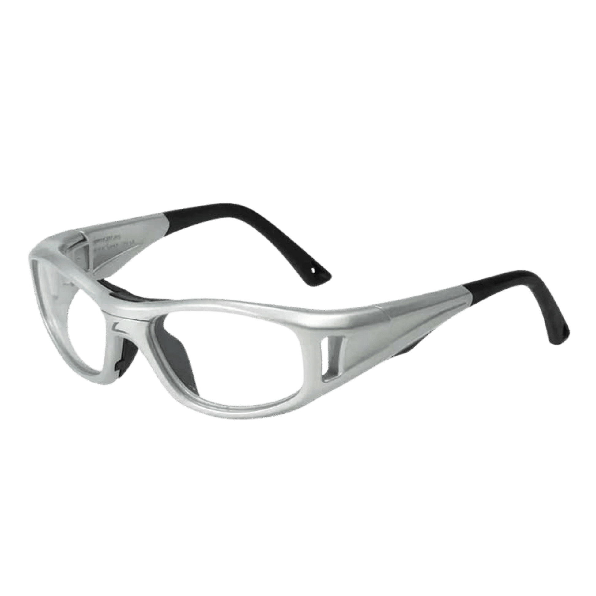 C2 RX Sport Goggle Slver