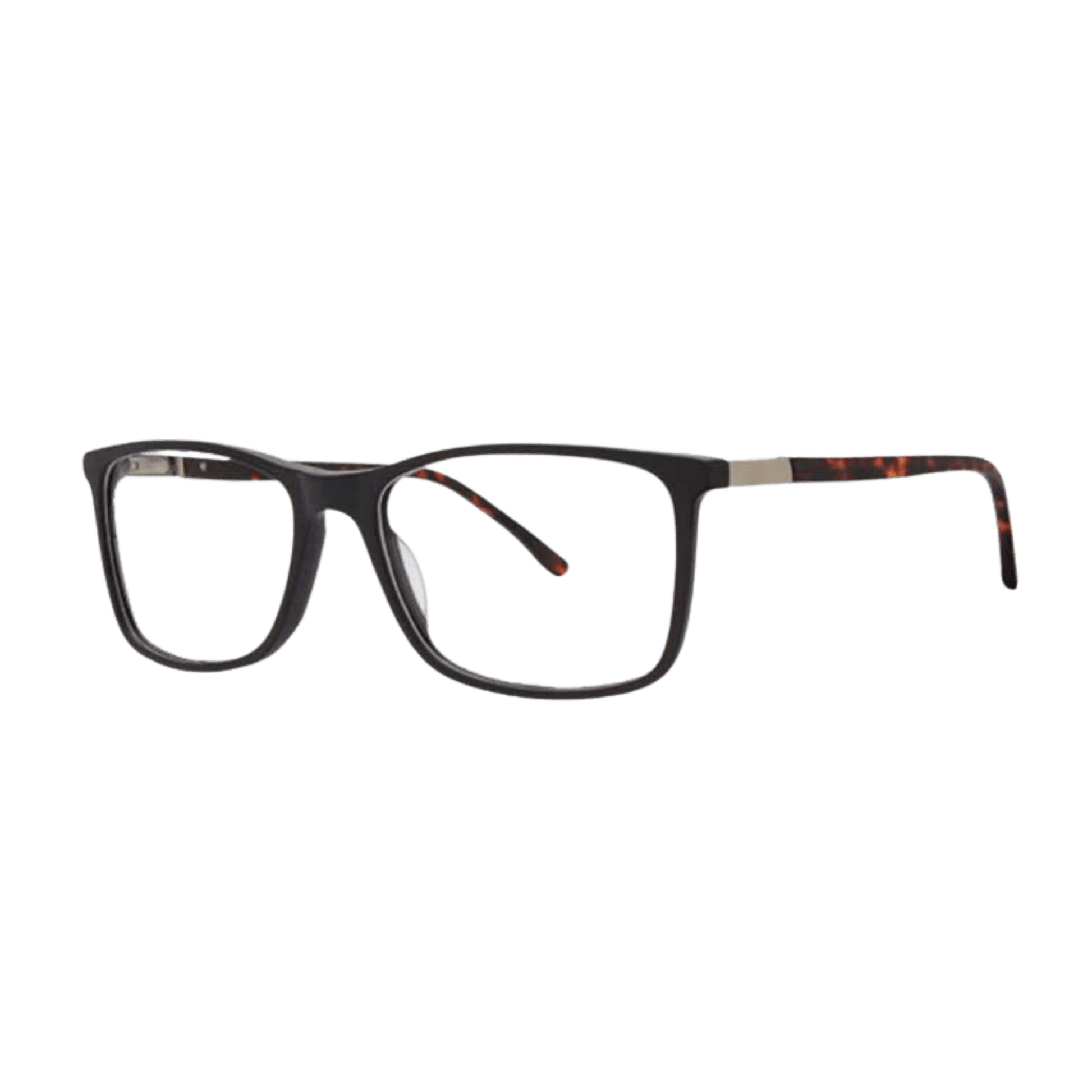 Black frame with tortoise temples 