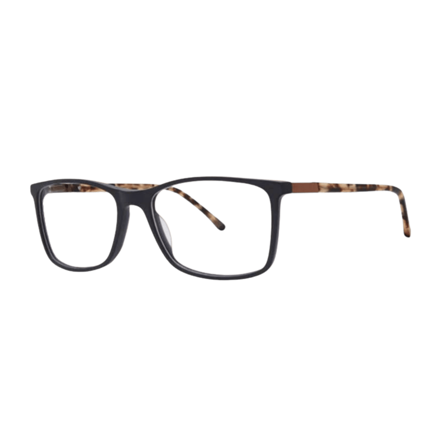 Navy frame with tortoise temples 