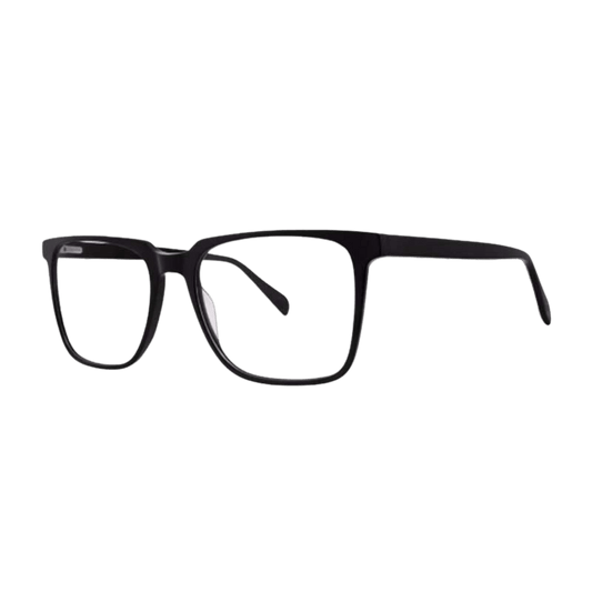 Big frame black eyeglasses